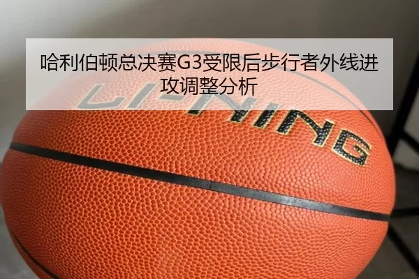 ha-li-bo-dun-zong-jue-sai-shou-xian-hou-bu-xing-zhe-wai-xian-jin-gong-tiao-zheng-fen-xi-2-504.jpg