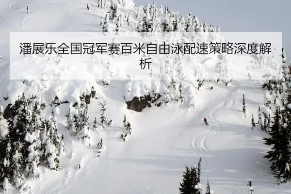 潘展乐全国冠军赛百米自由泳配速策略深度解析